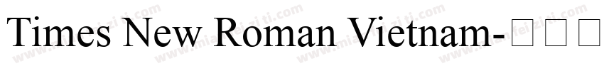Times New Roman Vietnam字体转换